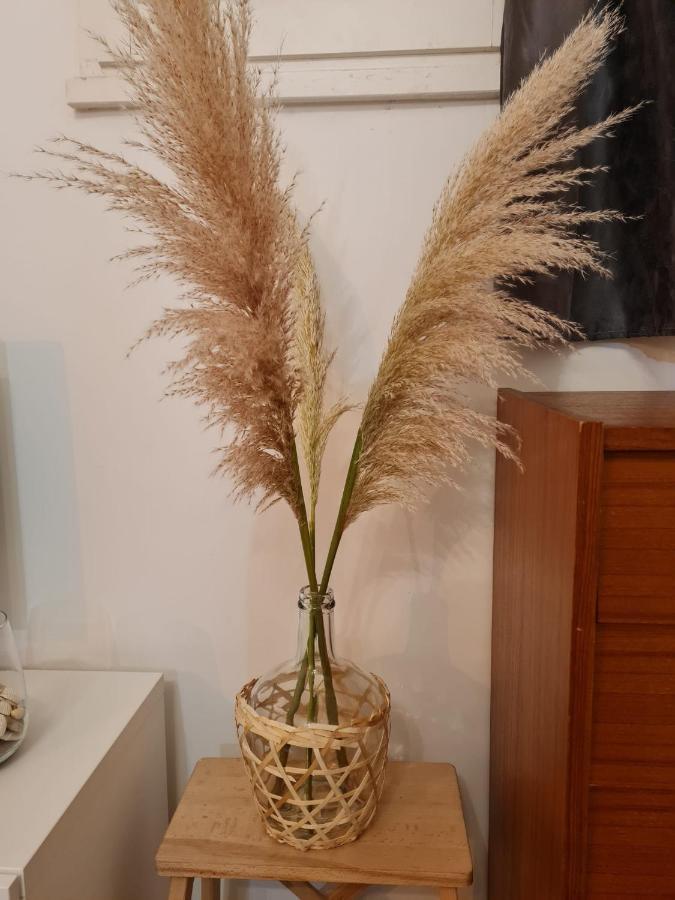 Sete T2 Cosy Et Chaleureux Quartier Gare Apartman Kültér fotó